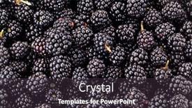  Presentation with food - Slide deck enhanced with fresh-ripe-blackberries-food-background background and a dark gray colored foreground