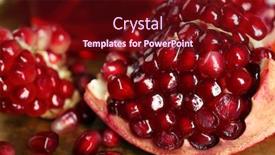  Presentation with panelist table microphones - Beautiful slides featuring fresh ripe garnet on table close up backdrop and a tawny brown colored foreground