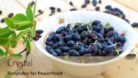  Presentation with berries - PPT theme consisting of fresh-ripe-honeysuckle-berries background and a coral colored foreground