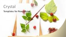  Presentation with high quality - PPT theme with fresh-ripe-raw-raspberries background and a white colored foreground