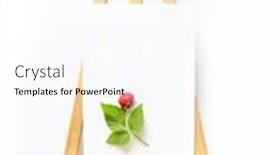  Presentation with high quality - Presentation theme consisting of fresh-ripe-raw-raspberries background and a  colored foreground