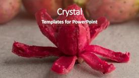  Presentation with fresh fruit retailer - Audience pleasing slides consisting of fresh ripe red peeled prickly backdrop and a tawny brown colored foreground