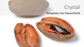  Presentation with cut - Colorful presentation theme enhanced with fresh-ripe-sapodilla-cut backdrop and a light gray colored foreground