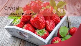  Presentation with chick - PPT theme consisting of fresh-ripe-strawberries-offered background and a coral colored foreground