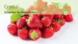  Presentation with strawberries - PPT layouts featuring fresh-ripe-strawberries-offered background and a soft green colored foreground