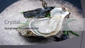  Presentation with design rock - Theme enhanced with fresh-rock-oyster-offered background and a light gray colored foreground