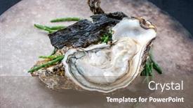  Presentation with design rock - Slides with fresh-rock-oyster-offered background and a gray colored foreground