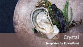  Presentation with design rock - Theme featuring fresh-rock-oyster-offered background and a gray colored foreground