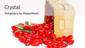  Presentation with fruit - Colorful slides enhanced with fresh rosehip fruit and leaves in a basket isolated on a white background backdrop and a white colored foreground