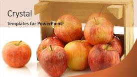  Presentation with gala - Slide deck featuring fresh royal gala apples background and a gold colored foreground