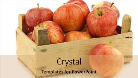  Presentation with gala - Amazing slide deck having fresh royal gala apples backdrop and a yellow colored foreground