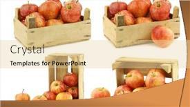  Presentation with gala - Theme featuring fresh-royal-gala-apples background and a blonde colored foreground