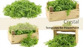  Presentation with leaves - Amazing PPT layouts having fresh-rucola-leaves-eruca-sativa backdrop and a blonde colored foreground
