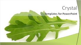  Presentation with leaves - Presentation theme consisting of fresh-rucola-leaves-eruca-sativa background and a white colored foreground
