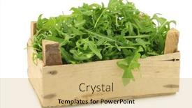  Presentation with leaves - Theme with fresh-rucola-leaves-eruca-sativa background and a coral colored foreground