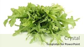  Presentation with rocket - Cool new presentation theme with fresh-rucola-salad-or-rocket backdrop and a soft green colored foreground