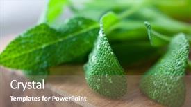  Presentation with sage - Theme enhanced with fresh sage background and a coral colored foreground