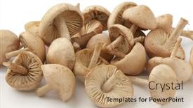  Presentation with scotch - Colorful theme enhanced with fresh-scotch-bonnet-mushrooms-close backdrop and a coral colored foreground