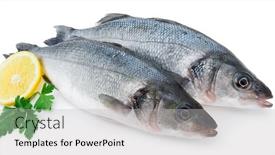  Presentation with lemon - Presentation theme featuring fresh-sea-bass-with-slice background and a light gray colored foreground
