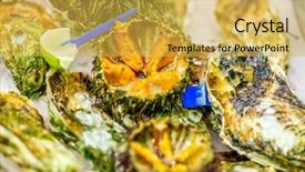  Presentation with white sea urchin - Beautiful slide deck featuring fresh sea urchins on cooled backdrop and a yellow colored foreground