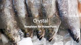  Presentation with ice - Beautiful PPT theme featuring fresh-seabass-chilled-on-ice backdrop and a gray colored foreground