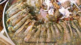  Presentation with food waste fresh in garbage - PPT theme with fresh-seafood-in-the-wet background and a coral colored foreground