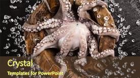  Presentation with seafood - PPT layouts featuring fresh seafood on black stone close-up background and a tawny brown colored foreground