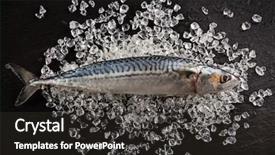  Presentation with seafood - Presentation theme having fresh seafood on black stone close-up background and a dark gray colored foreground