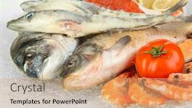  Presentation with seafood - Presentation with fresh-seafood-on-ice background and a coral colored foreground