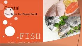  Presentation with seafood - 