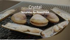  Presentation with clam - Audience pleasing PPT layouts consisting of fresh-short-necked-clam backdrop and a gray colored foreground