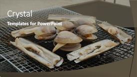  Presentation with clam - PPT theme consisting of fresh-short-necked-clam background and a gray colored foreground