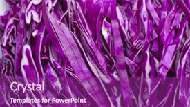  Presentation with cabbage cultivation - PPT layouts featuring fresh shredded red cabbage background and a violet colored foreground