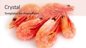  Presentation with shrimp - Cool new slides with fresh shrimp isolated on white backdrop and a coral colored foreground