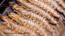  Presentation with shrimp - PPT theme having fresh-shrimp-prepare-for-cooking and a coral colored foreground