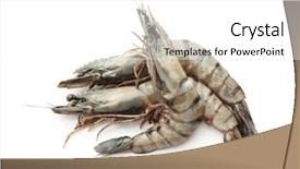  Presentation with shrimps - Audience pleasing presentation consisting of fresh shrimps on white background backdrop and a white colored foreground