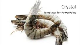 Presentation with fresh ginger root on white - Cool new slide set with fresh shrimps on white background backdrop and a white colored foreground
