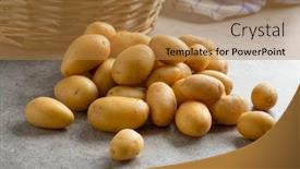 Presentation with cooking - Slides having fresh-small-new-potatoes-close background and a gold colored foreground