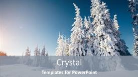  Presentation with earth day - Slides featuring fresh-snowy-day-in-coniferous background and a gray colored foreground