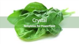  Presentation with spinach - Slide set having fresh spinach leaves isolated on white background and a shamrock green colored foreground
