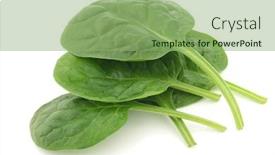  Presentation with spinach - Presentation design featuring fresh spinach leaves background and a seafoam green colored foreground