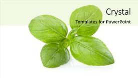  Presentation with fresh water splash green apple isolated white - Cool new presentation with fresh sprig of basil isolated backdrop and a soft green colored foreground