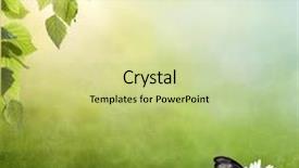  Presentation with floral spring frames - Colorful PPT layouts enhanced with fresh spring bokeh background backdrop and a soft green colored foreground