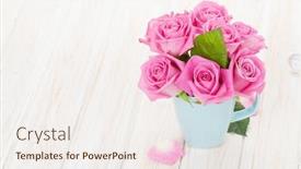  Presentation with pink roses - Beautiful PPT layouts featuring fresh spring garden pink roses bouquet on white wooden table with copy space backdrop and a sky blue colored foreground