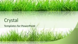  Presentation with abstract natural fresh green - Cool new presentation with fresh spring green grass panorama backdrop and a  colored foreground