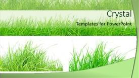  Presentation with grass texture on green - Presentation design consisting of polished metal background close up background and a ocean colored foreground