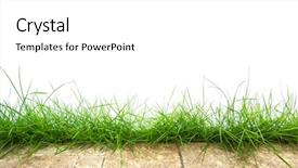  Presentation with abstract natural fresh green - Cool new slide deck with fresh spring green grass panorama backdrop and a white colored foreground