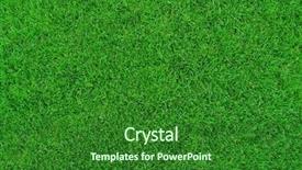  Presentation with spring - Colorful PPT layouts enhanced with fresh spring green grass backdrop and a forest green colored foreground