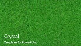  Presentation with abstract natural fresh green - Amazing theme having fresh spring green grass backdrop and a forest green colored foreground