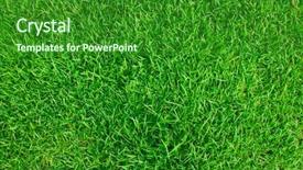  Presentation with spring - Audience pleasing presentation consisting of fresh spring green grass backdrop and a forest green colored foreground